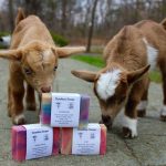 Goatboy Soaps