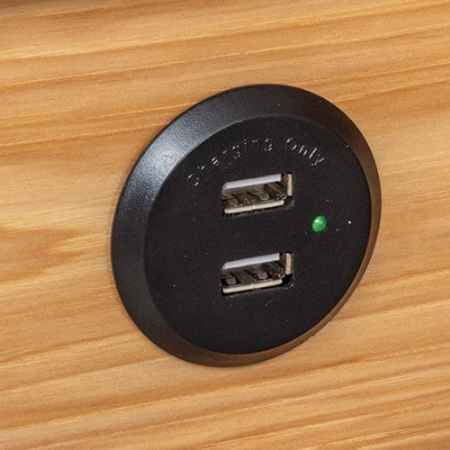 Closeup of 2 USB charging port.